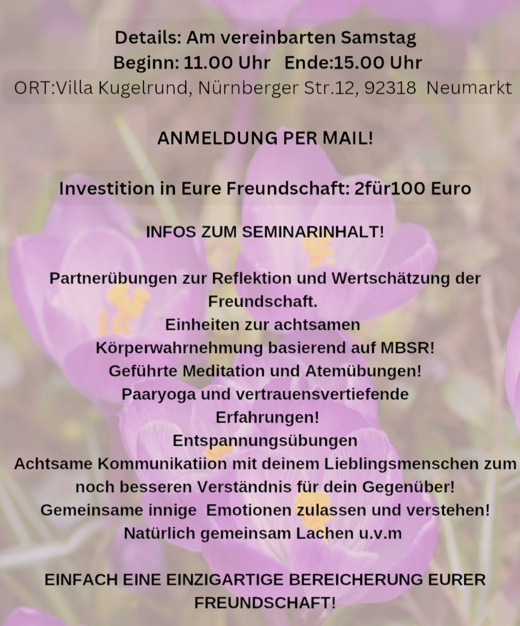 FreundinnenZeit_Info