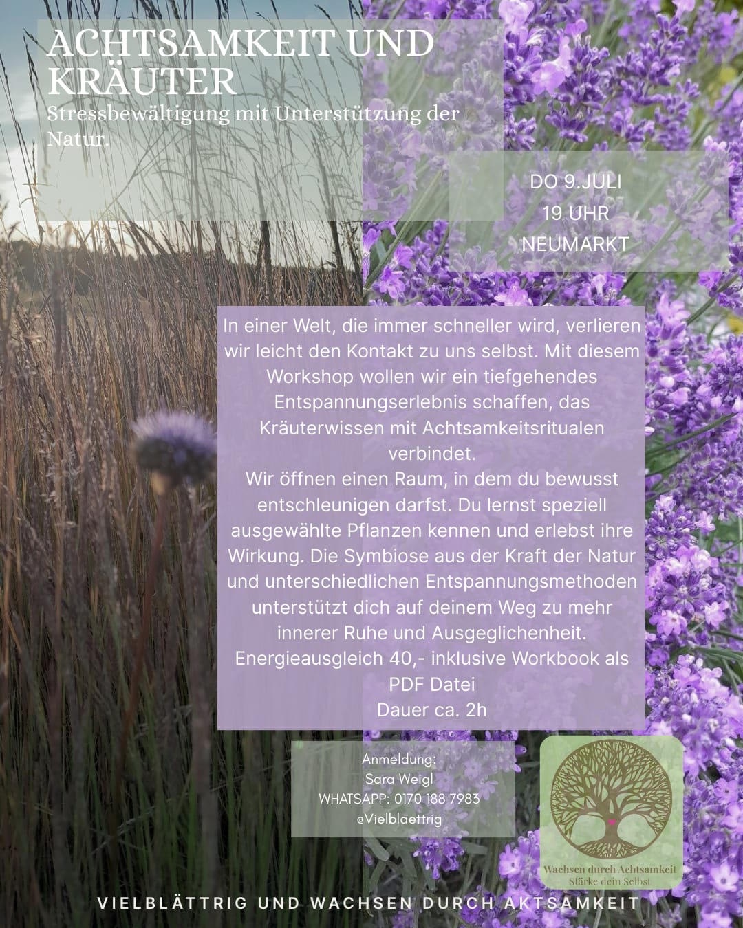 Kurs_Achtsamkeit-Kraeuter